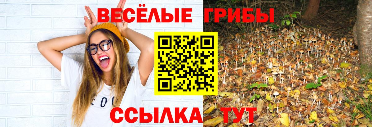Псилоцибиновые грибы Cubensis Краснокаменск